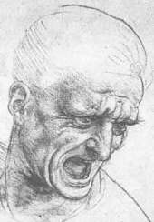da_vinci_shouting_man