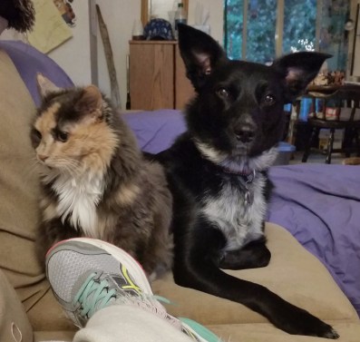 Friends - Thinking Time?